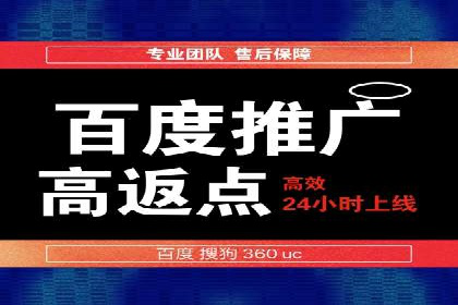 SEM服务在本地化营销中的应用案例